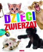 polish book : Dzieci zwi... - Opracowanie Zbiorowe