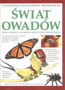 Obrazek Świat owadów. Ilustrowana encyklopedia przyrodnicza