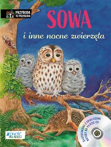 Obrazek Sowa i inne nocne zwierzęta