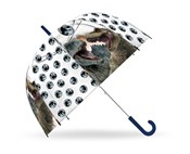 Polska książka : Parasolka ...