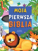 Książka : Moja pierw... - Jan Godfrey, Paula Doherty