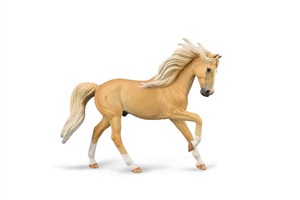 Obrazek Ogier andaluzyjski maści Palomino