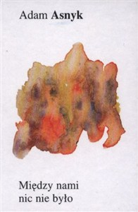 Obrazek Między nami nic nie było