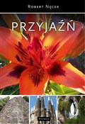 polish book : Przyjaźń - Robert Nęcek