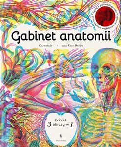 Obrazek Gabinet anatomii