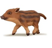 polish book : Warchlak d...