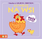 polish book : Nauka z gr...