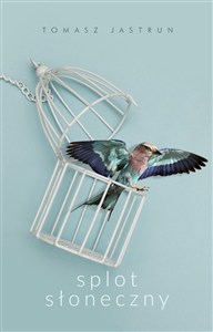 Obrazek Splot słoneczny