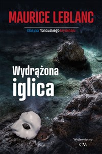 Obrazek Wydrążona iglica wyd. 3