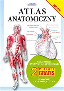 Obrazek Atlas anatomiczny