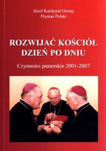 Picture of Rozwijać Kościół dzień po dniu Czynności pasterskie 2001-2007