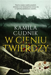 Obrazek W cieniu twierdzy