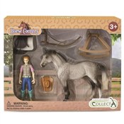 Książka : Hobbystycz...