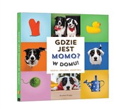 Książka : Gdzie jest... - Andrew Knapp