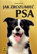 Jak zrozum... - Susie Green - Ksiegarnia w UK