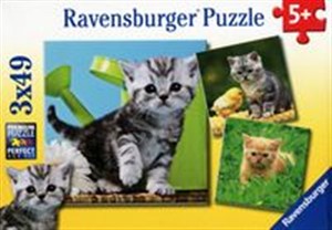 Picture of Puzzle Przygoda kociaka 3x49