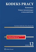 Polska książka : Kodeks pra... - Kazimierz Jaśkowski, Eliza Maniewska