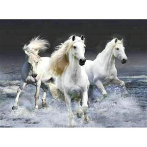 Picture of Diamentowa mozaika konie białe NO-1005262