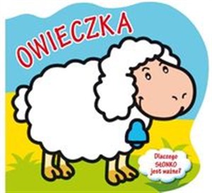 Picture of Owieczka Dlaczego słonko jest ważne?