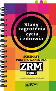 Obrazek Stany zagrożenia życia i zdrowia Schematy postępowania dla ZRM typu P