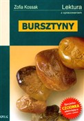 Bursztyny ... - Zofia Kossak -  Książka z wysyłką do UK