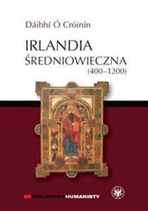 Picture of Irlandia średniowieczna (400-1200)