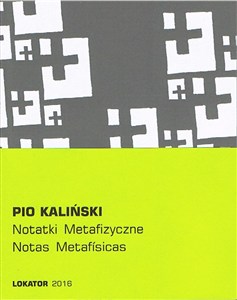 Obrazek Notatki metafizyczne