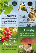Książka : Pakiet: Pt... - Daniel Straub, Meike Bosch, Hans E.Laux, Rudi Bei