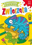 Kolorowank... - Opracowanie Zbiorowe -  foreign books in polish 