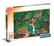 Zobacz : Puzzle 300...