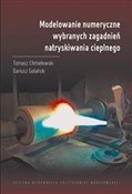 Polska książka : Modelowani... - T. Chmielewski, D. Golański