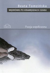 Picture of Wędrówki po krawędziach czasu