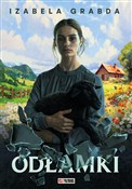 Odłamki - Izabela Grabda -  foreign books in polish 