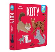 Polska książka : Koty POP-U... - David Hawcock