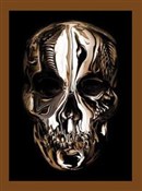 Alexander ... - Andrew Bolton -  Polish Bookstore 