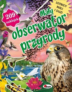 Obrazek Mały obserwator przyrody Lotnicy mali i duzi