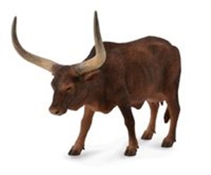 Obrazek Krowa Ankole-Watusi