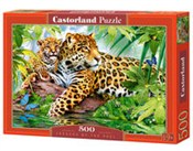 Puzzle 500... -  books in polish 