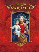 polish book : Księga Świ... - Noemi Marcos Alba