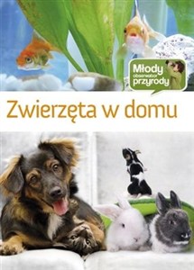 Obrazek Zwierzęta w domu