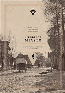 Picture of Nieobecne miasto