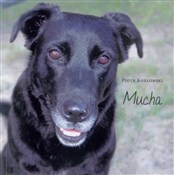 Mucha - Piotr Kozłowski - Ksiegarnia w UK