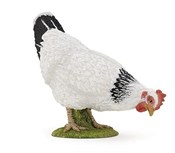 Kura biała... -  Książka z wysyłką do UK