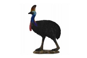 Obrazek Kazuar hełmiasty L