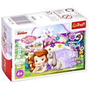 Polska książka : Puzzle 54 ...