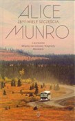 Zbyt wiele... - Alice Munro -  Polish Bookstore 