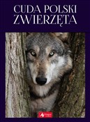 polish book : Cuda Polsk... - Łukasz Przybyłowicz