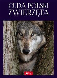 Obrazek Cuda Polski Zwierzęta