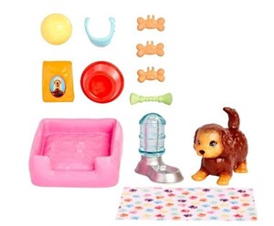 Picture of Barbie Zwierzątko + akcesoria HKD82